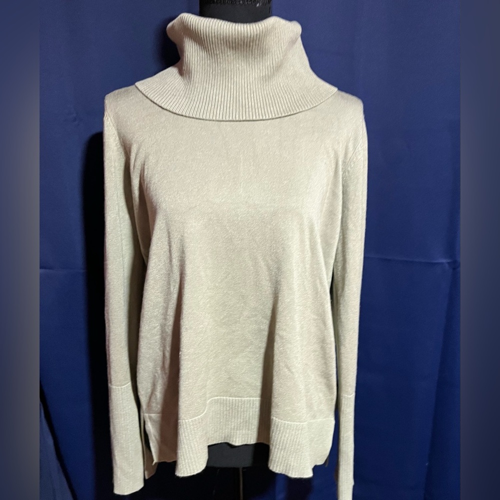 Cable & Gauge Light Sage Green Turtleneck Sweater